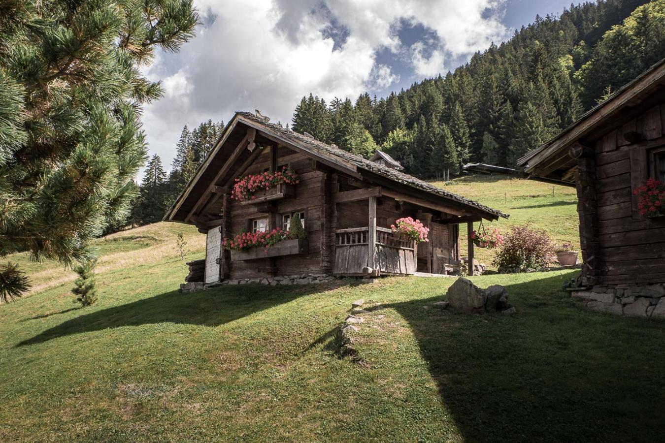 La Ferme Des Vonezins Hotell Thônes Exteriör bild