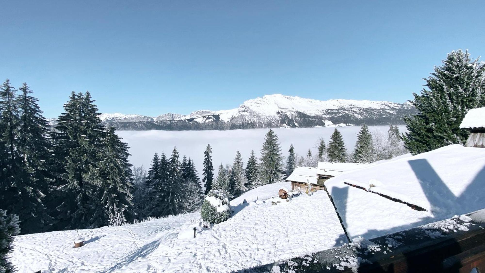 La Ferme Des Vonezins Hotell Thônes Exteriör bild