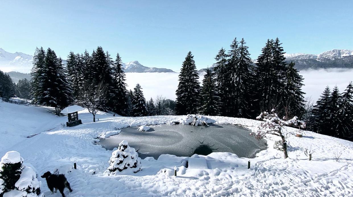 La Ferme Des Vonezins Hotell Thônes Exteriör bild