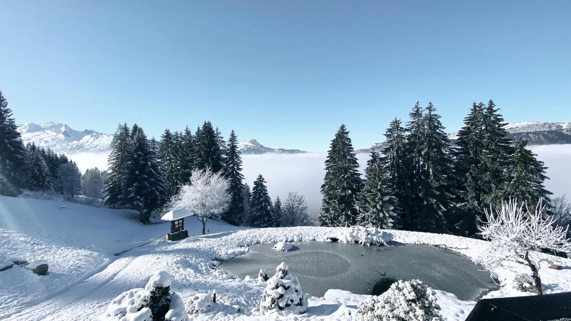 La Ferme Des Vonezins Hotell Thônes Exteriör bild
