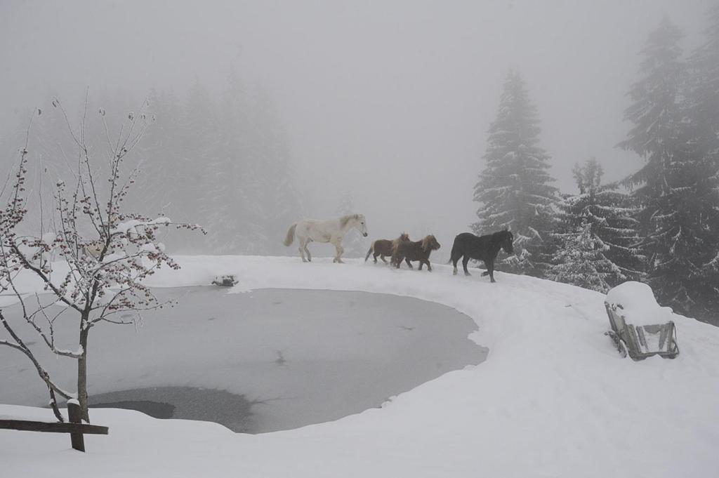 La Ferme Des Vonezins Hotell Thônes Exteriör bild